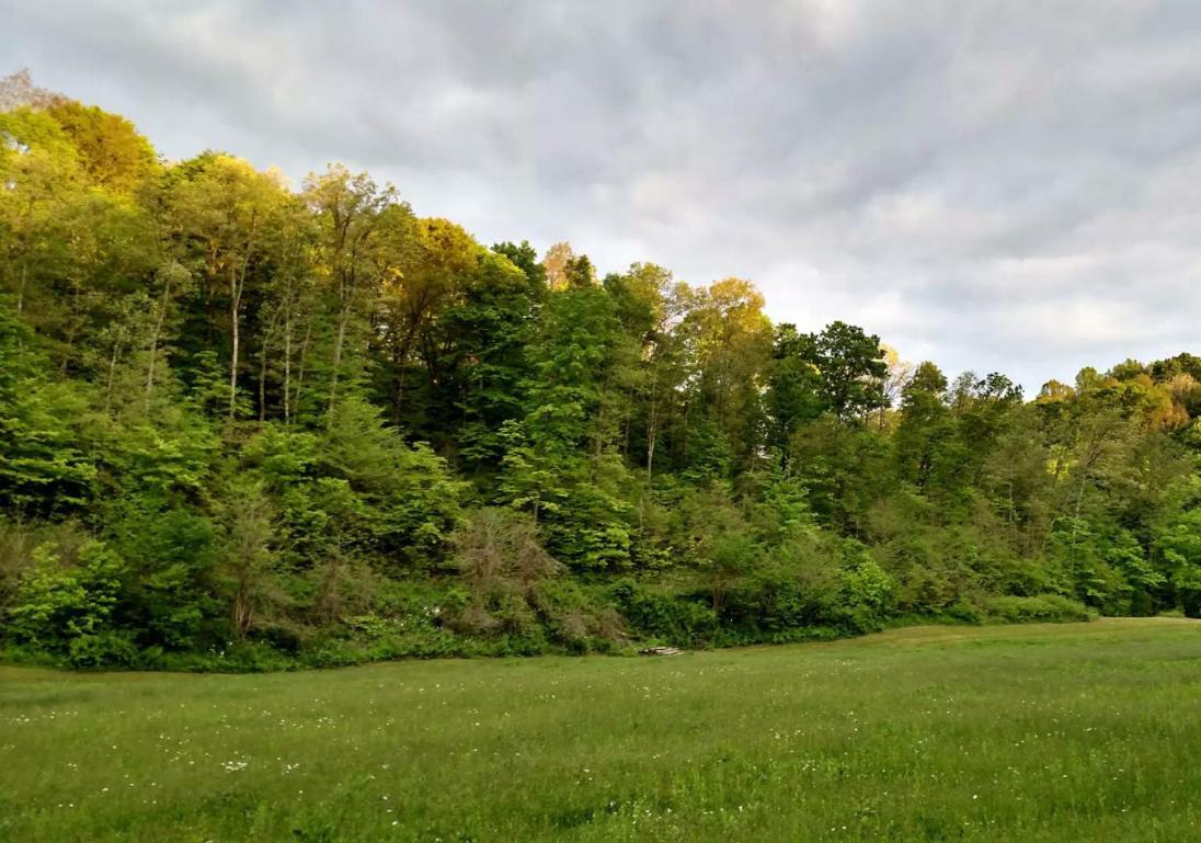 Altenbrauch Farm - Camping In The Hocking Hills Hotell Stella Exteriör bild