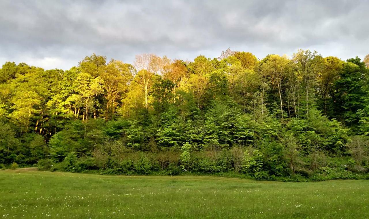 Altenbrauch Farm - Camping In The Hocking Hills Hotell Stella Exteriör bild